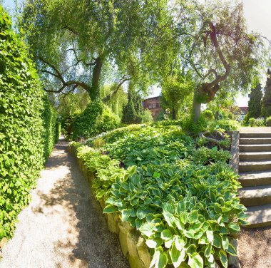 Wroclaw, Polonya-Mayıs 30, 2019: Botanik Bahçesi Wroclaw, Polonya. Bahçe 1811 den 1816 katedral Adası (Ostrow Tumski), şehrin en eski parçası üzerinde inşa edilmiştir.