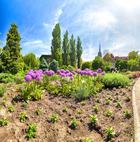 Wroclaw Polen Maj 2019 Botaniska Trädgården Wroclaw Polen Trädgården Byggdes — Stockfoto