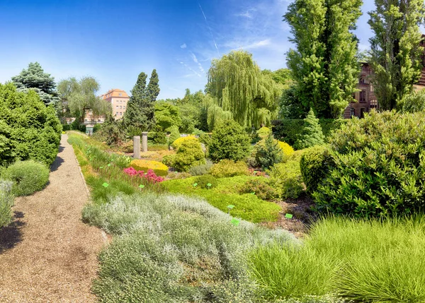 Wroclaw Polen Maj 2019 Botaniska Trädgården Wroclaw Polen Trädgården Byggdes — Stockfoto