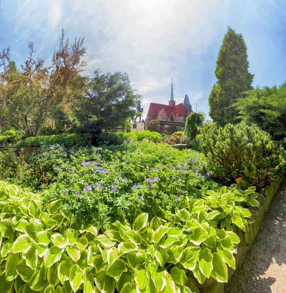 Wroclaw Polen Maj 2019 Botaniska Trädgården Wroclaw Polen Trädgården Byggdes — Stockfoto