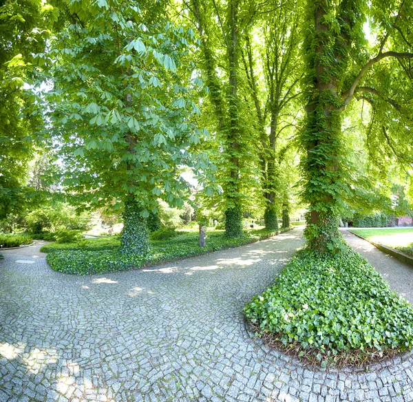 Wroclaw Polen Maj 2019 Botaniska Trädgården Wroclaw Polen Trädgården Byggdes — Stockfoto