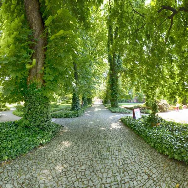 Wroclaw Polen Maj 2019 Botaniska Trädgården Wroclaw Polen Trädgården Byggdes — Stockfoto