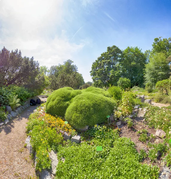 Wroclaw Polen Maj 2019 Botaniska Trädgården Wroclaw Polen Trädgården Byggdes — Stockfoto