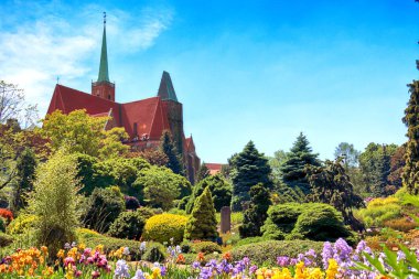 Wroclaw, Polonya-Mayıs 30, 2019: Botanik Bahçesi Wroclaw, Polonya. Bahçe 1811 den 1816 katedral Adası (Ostrow Tumski), şehrin en eski parçası üzerinde inşa edilmiştir.