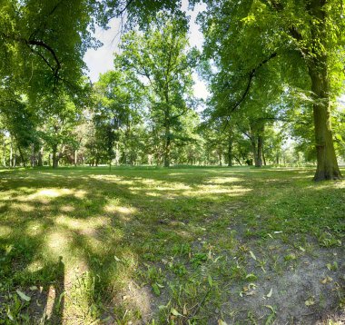 Wroclaw, Polonya'daki Skowroni Parkı. Şehrin güney kesiminde bulunan.