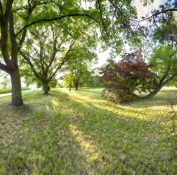 Parque Skowroni Wroclaw Polonia Situado Parte Sur Ciudad —  Fotos de Stock