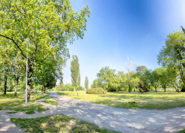 Wroclaw, Polonya'daki Skowroni Parkı. Şehrin güney kesiminde bulunan.