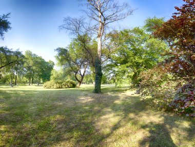 Wroclaw, Polonya'daki Skowroni Parkı. Şehrin güney kesiminde bulunan.