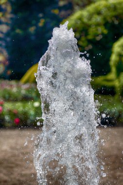 Wroclaw, Polonya-Mayıs 30, 2019: Botanik Bahçesi Wroclaw, Polonya. Bahçe 1811 den 1816 katedral Adası (Ostrow Tumski), şehrin en eski parçası üzerinde inşa edilmiştir.