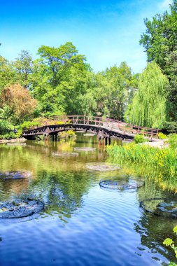 Wroclaw, Polonya-Mayıs 30, 2019: Botanik Bahçesi Wroclaw, Polonya. Bahçe 1811 den 1816 katedral Adası (Ostrow Tumski), şehrin en eski parçası üzerinde inşa edilmiştir.