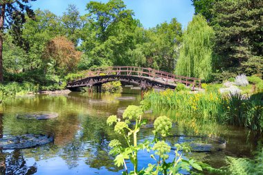 Wroclaw, Polonya-Mayıs 30, 2019: Botanik Bahçesi Wroclaw, Polonya. Bahçe 1811 den 1816 katedral Adası (Ostrow Tumski), şehrin en eski parçası üzerinde inşa edilmiştir.