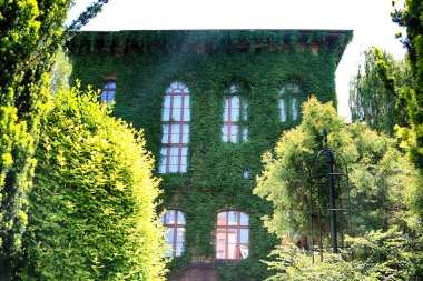 Wroclaw, Polonya-Mayıs 30, 2019: Botanik Bahçesi Wroclaw, Polonya. Bahçe 1811 den 1816 katedral Adası (Ostrow Tumski), şehrin en eski parçası üzerinde inşa edilmiştir.