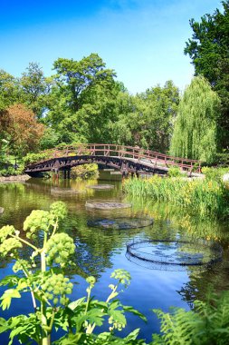 Wroclaw, Polonya-Mayıs 30, 2019: Botanik Bahçesi Wroclaw, Polonya. Bahçe 1811 den 1816 katedral Adası (Ostrow Tumski), şehrin en eski parçası üzerinde inşa edilmiştir.