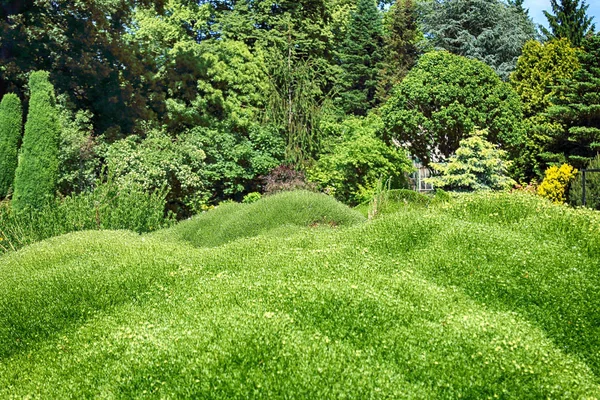 Vackra Färgglada Blommor Och Växter Den Botaniska Trädgården Wroclaw Polen — Stockfoto