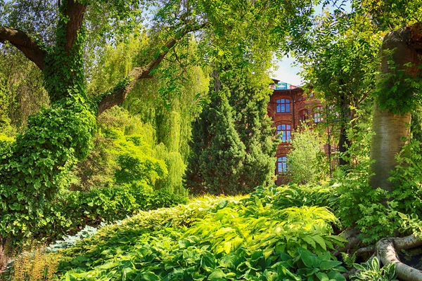 Wroclaw Polen Maj 2019 Botaniska Trädgården Wroclaw Polen Trädgården Byggdes — Stockfoto