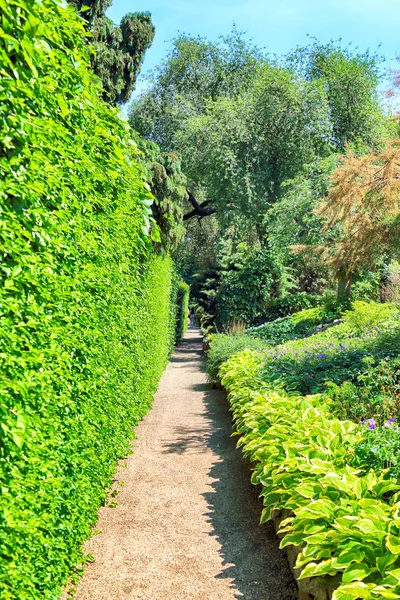 Wroclaw Polen Maj 2019 Botaniska Trädgården Wroclaw Polen Trädgården Byggdes — Stockfoto