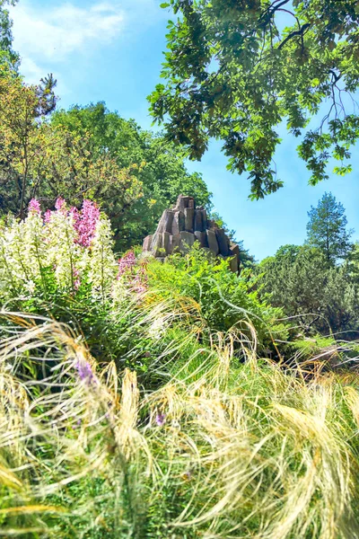 Wroclaw Polen Maj 2019 Botaniska Trädgården Wroclaw Polen Trädgården Byggdes — Stockfoto