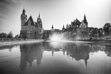 Wroclaw, Polonya - 15 Haziran 2019: Opole, Polonya yakınlarındaki Moszna Kalesi. Polonya 'nın en güzel tarihi konutlarından biri. Sarayda 365 oda, 99 kule ve kule var..