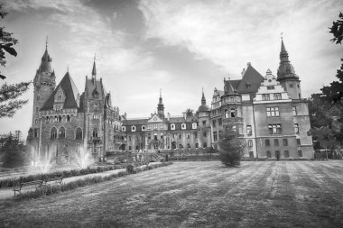 Wroclaw, Polonya - 15 Haziran 2019: Opole, Polonya yakınlarındaki Moszna Kalesi. Polonya 'nın en güzel tarihi konutlarından biri. Sarayda 365 oda, 99 kule ve kule var..