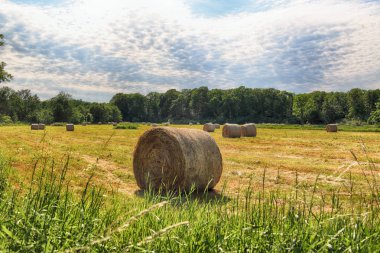 Wroclaw, Polonya yakınlarındaki Krobielowice bulutlu gökyüzü altında saman balyaları ile Stubble alan. Güzel manzara.