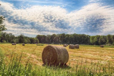 Wroclaw, Polonya yakınlarındaki Krobielowice bulutlu gökyüzü altında saman balyaları ile Stubble alan. Güzel manzara.