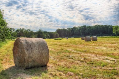 Wroclaw, Polonya yakınlarındaki Krobielowice bulutlu gökyüzü altında saman balyaları ile Stubble alan. Güzel manzara.