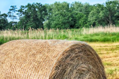 Wroclaw, Polonya yakınlarındaki Krobielowice bulutlu gökyüzü altında saman balyaları ile Stubble alan. Güzel manzara.