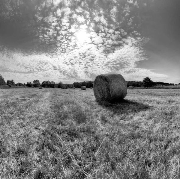 在波兰弗罗茨瓦夫附近的克罗比洛维兹 在多云的天空下 有稻草捆的碎块田地 美丽的风景 — 图库照片