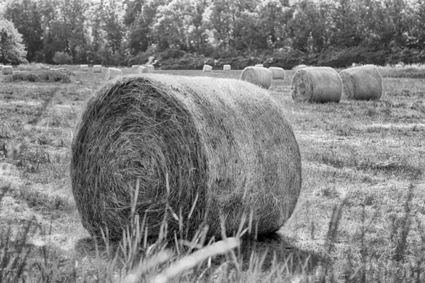 Campo Stoppie Con Balle Paglia Sotto Cielo Nuvoloso Krobielowice Vicino — Foto Stock