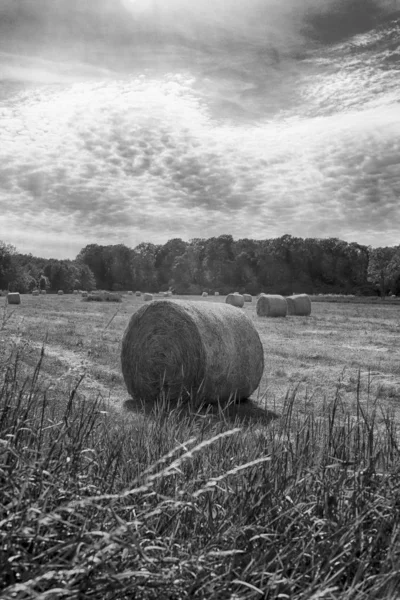 Stubble Veld Met Strobalen Onder Bewolkte Hemel Krobielowice Bij Wroclaw — Stockfoto