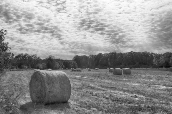 Stubble Veld Met Strobalen Onder Bewolkte Hemel Krobielowice Bij Wroclaw — Stockfoto