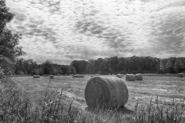 Stubble Mező Szalma Bálák Felhős Alatt Krobielowice Közelében Wroclaw Lengyelország — Stock Fotó