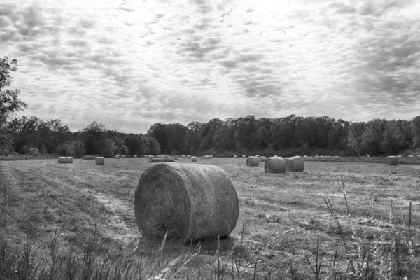 在波兰弗罗茨瓦夫附近的克罗比洛维兹 在多云的天空下 有稻草捆的碎块田地 美丽的风景 — 图库照片