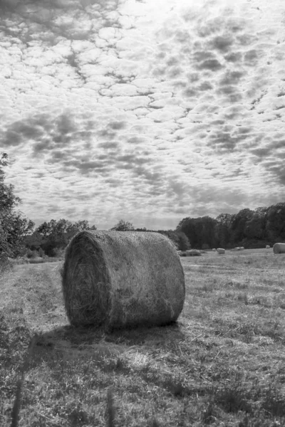 Stubble Mező Szalma Bálák Felhős Alatt Krobielowice Közelében Wroclaw Lengyelország — Stock Fotó