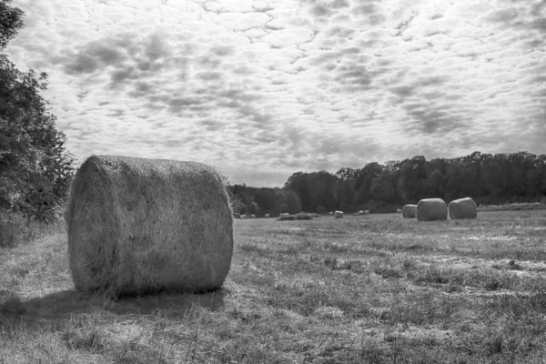 Stubble Veld Met Strobalen Onder Bewolkte Hemel Krobielowice Bij Wroclaw — Stockfoto