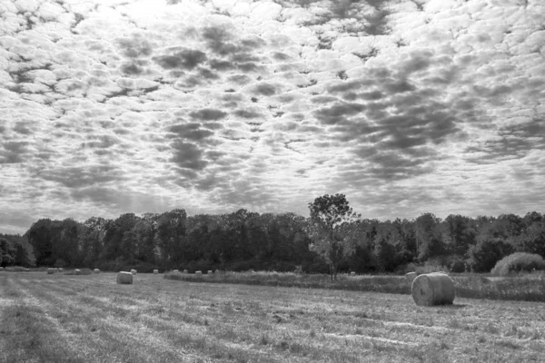 Stubble Veld Met Strobalen Onder Bewolkte Hemel Krobielowice Bij Wroclaw — Stockfoto