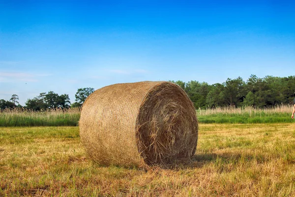 Campo Grava Con Fardos Paja Bajo Cielo Nublado Krobielowice Cerca —  Fotos de Stock