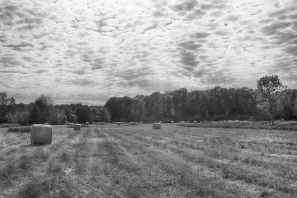 Stubble Veld Met Strobalen Onder Bewolkte Hemel Krobielowice Bij Wroclaw — Stockfoto