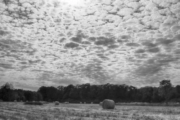 Stubble Veld Met Strobalen Onder Bewolkte Hemel Krobielowice Bij Wroclaw — Stockfoto