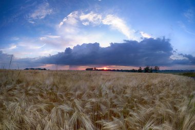 Wroclaw yakınlarındaki Biskupice Podgorne, baharın son gününde, alanlar üzerinde güzel günbatımı ve fırtına bulutları, Polonya.