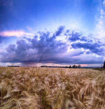 Wroclaw yakınlarındaki Biskupice Podgorne, baharın son gününde, alanlar üzerinde güzel günbatımı ve fırtına bulutları, Polonya.