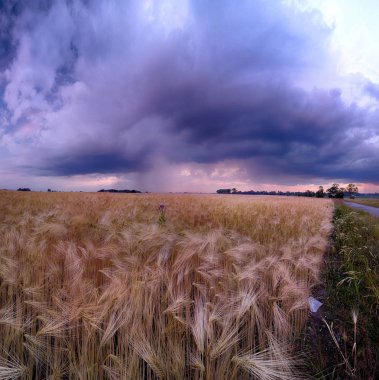 Wroclaw yakınlarındaki Biskupice Podgorne, baharın son gününde, alanlar üzerinde güzel günbatımı ve fırtına bulutları, Polonya.