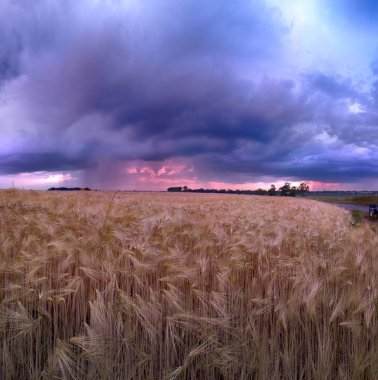 Wroclaw yakınlarındaki Biskupice Podgorne, baharın son gününde, alanlar üzerinde güzel günbatımı ve fırtına bulutları, Polonya.