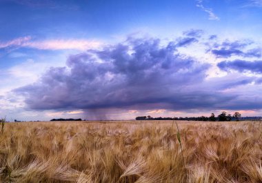 Wroclaw yakınlarındaki Biskupice Podgorne, baharın son gününde, alanlar üzerinde güzel günbatımı ve fırtına bulutları, Polonya.