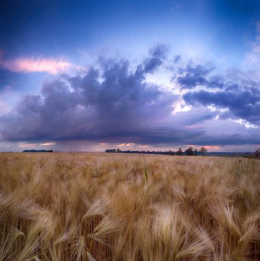 Wroclaw yakınlarındaki Biskupice Podgorne, baharın son gününde, alanlar üzerinde güzel günbatımı ve fırtına bulutları, Polonya.