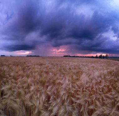 Wroclaw yakınlarındaki Biskupice Podgorne, baharın son gününde, alanlar üzerinde güzel günbatımı ve fırtına bulutları, Polonya.