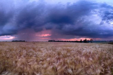 Wroclaw yakınlarındaki Biskupice Podgorne, baharın son gününde, alanlar üzerinde güzel günbatımı ve fırtına bulutları, Polonya.