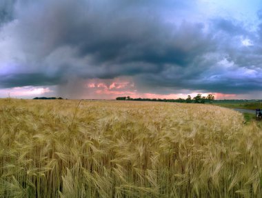 Wroclaw yakınlarındaki Biskupice Podgorne, baharın son gününde, alanlar üzerinde güzel günbatımı ve fırtına bulutları, Polonya.