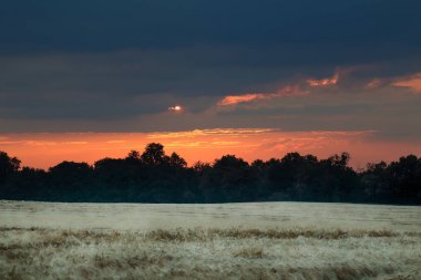 Wroclaw yakınlarındaki Biskupice Podgorne, baharın son gününde, alanlar üzerinde güzel günbatımı ve fırtına bulutları, Polonya.
