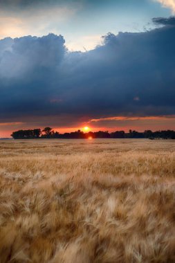 Wroclaw yakınlarındaki Biskupice Podgorne, baharın son gününde, alanlar üzerinde güzel günbatımı ve fırtına bulutları, Polonya.